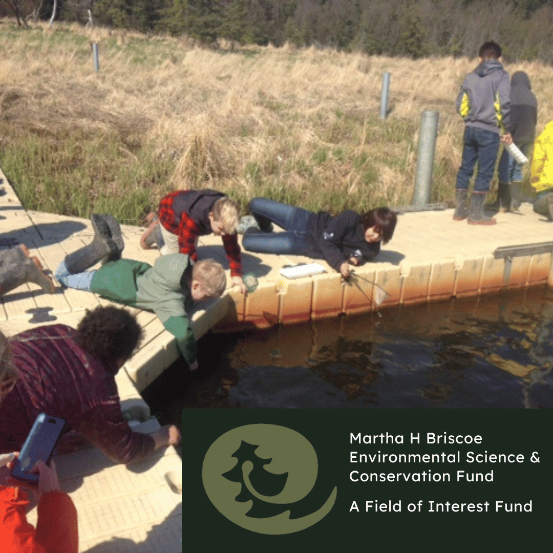 image of kids outside learning about environmental education