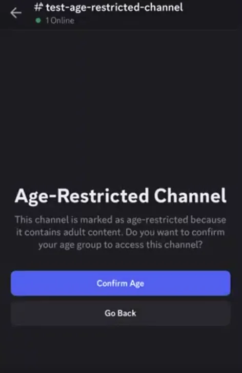 Discord age-restricted channel prompt