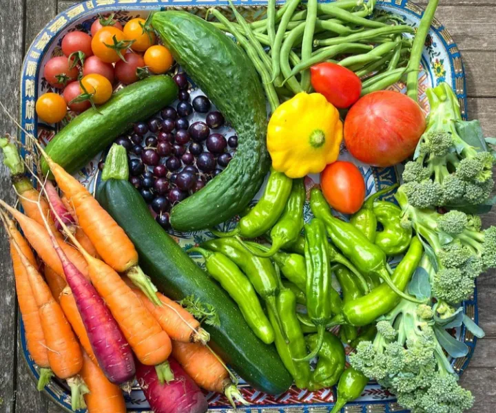 Plate with fresh assorted vegetables including carrots, cucumbers, green beans, tomatoes, broccoli, and peppers.