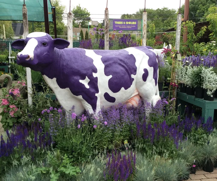 Large purple and white cow statue surrounded by purple flowers at a garden center.