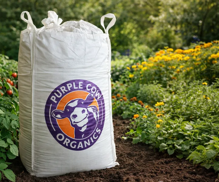 Large white sack labeled Purple Cow Organics standing on soil next to green plants and yellow flowers.
