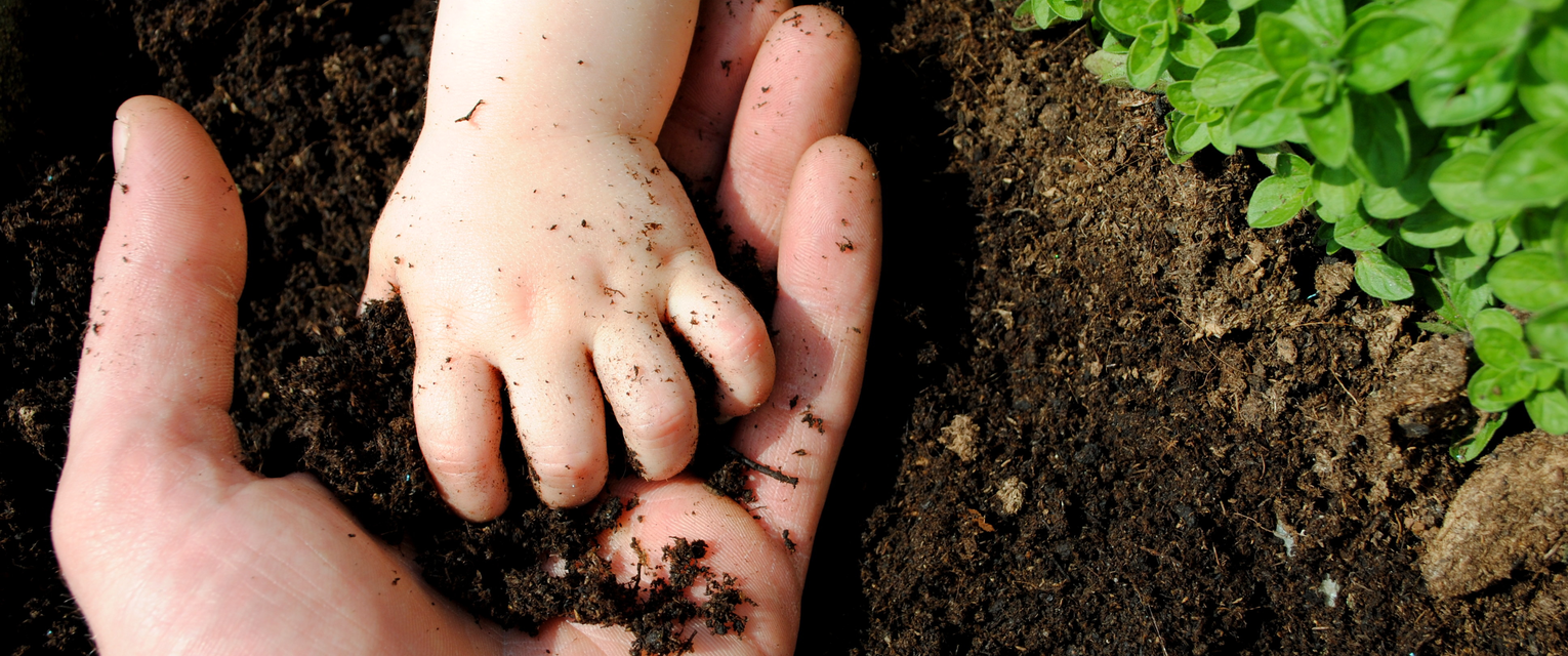 baby hands and adult holding soil to demonstrate importance of healthy soil.