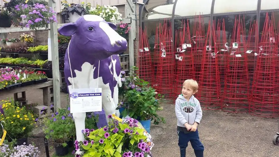 Young child standing near a purple and white cow statue surrounded by colorful plants at a garden center.