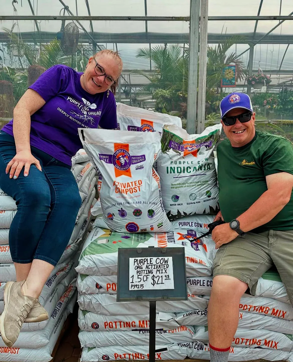 Stacked bags of Purple Cow Organics potting mix and compost inside a greenhouse display.