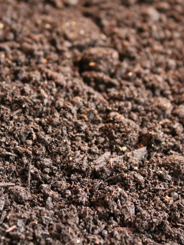 Activated Compost is our top seller and our flagship product. It is made made from local recycled plant material with an added nutrient blend to feed veggies, trees, lawns, flower beds, and more! This aerobic plant-based compost contains organic matter, which provides the biological diversity found in nature.