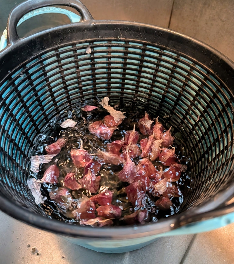 Garlic cloves in a bowl next to a biology-rich solution