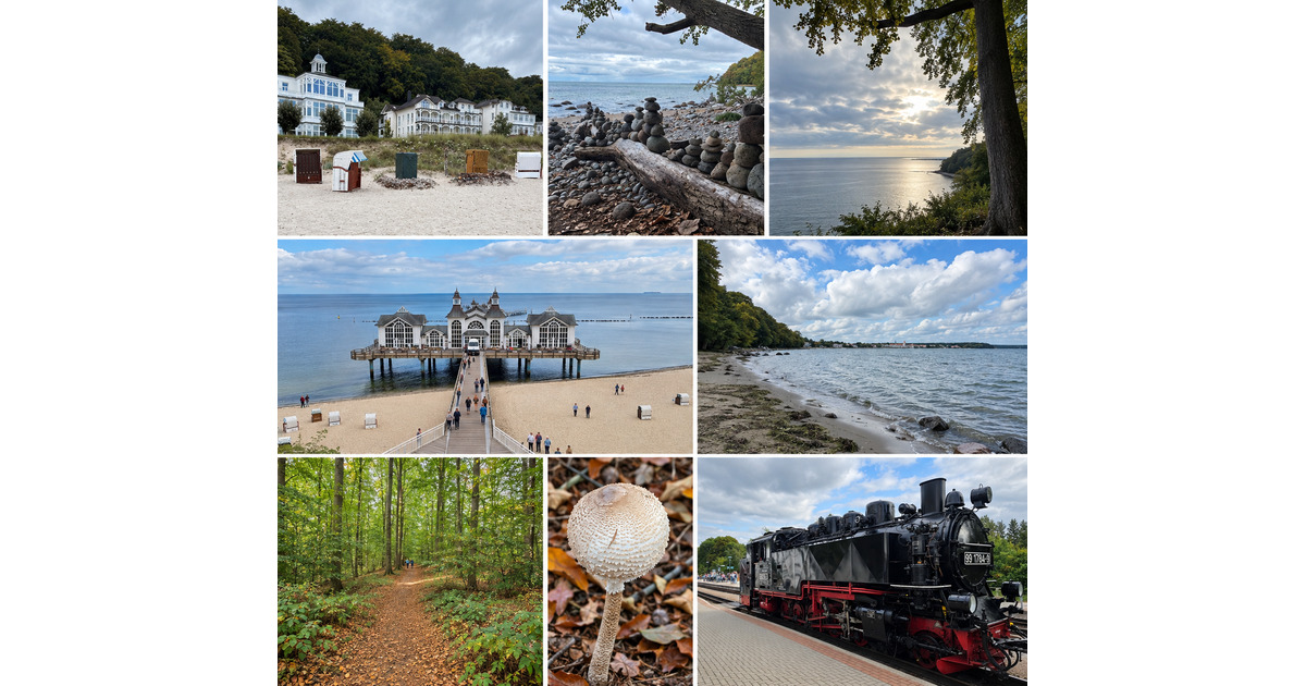 Blick vom Hochuferweg zwischen Sellin und Binz durch den Buchenwald der Granitz auf die Ostsee