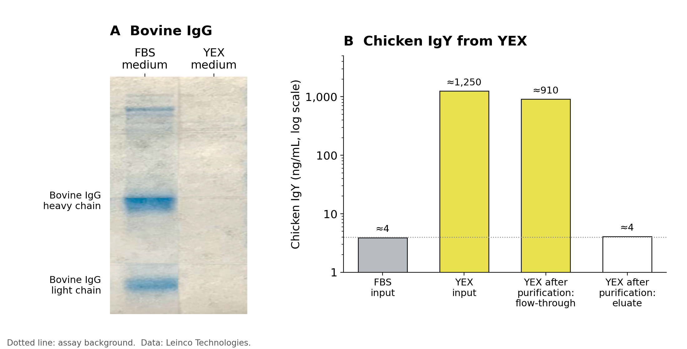 Virus titres in YEX media compared with FBS for three avian viruses.