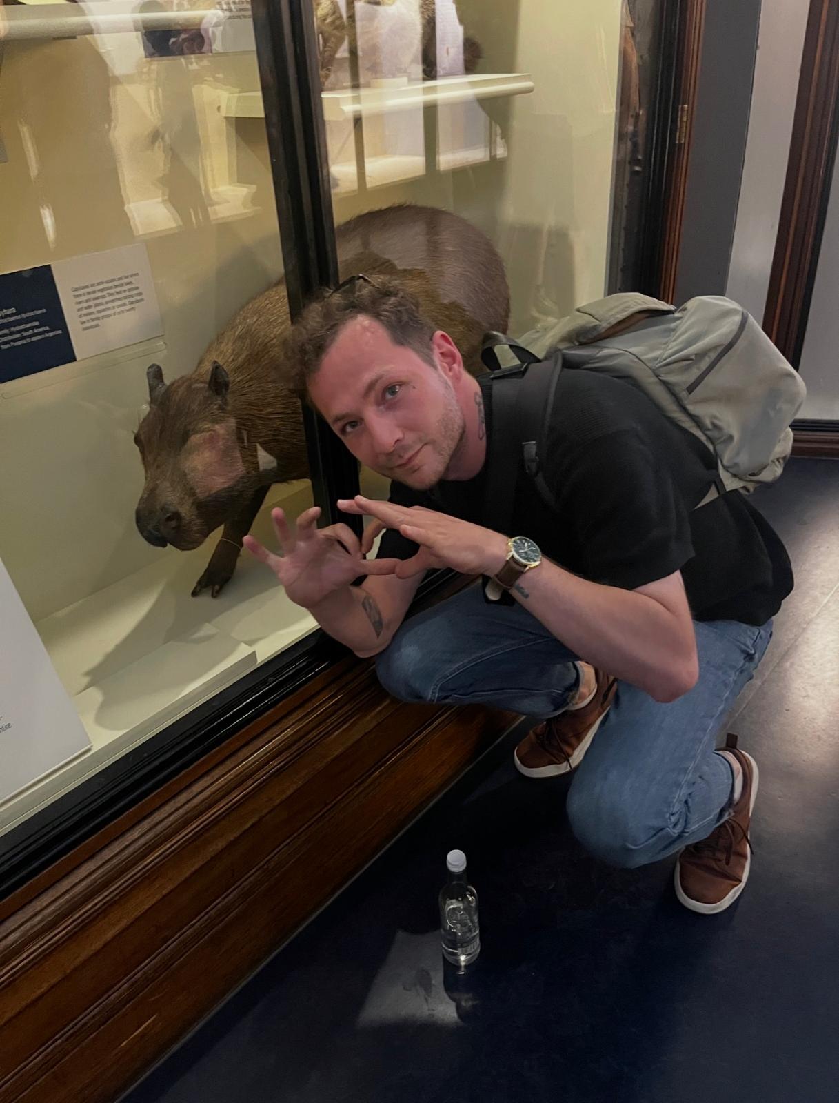 Man crouching next to a glass display case with a preserved capybara inside a museum.