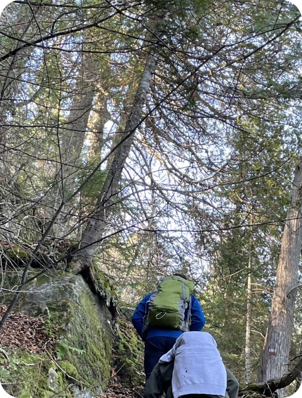 Ressourcement en territoire — sentier en forêt