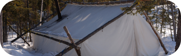 Construction de tente et de tipi