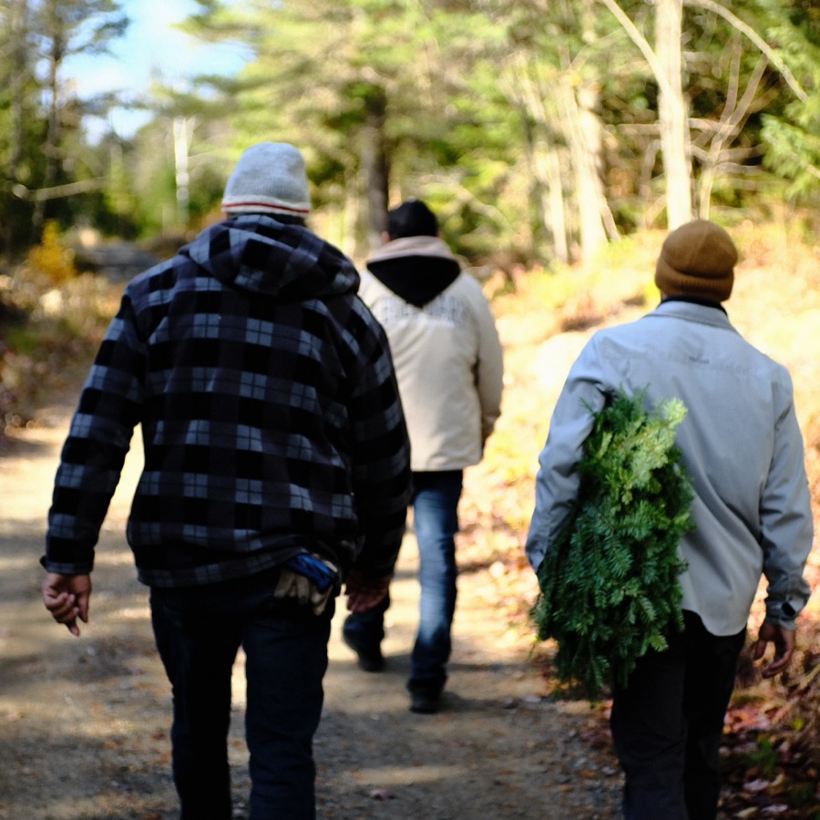 Trois personnes marchant sur un sentier forestier en automne, l'une portant des branches de cèdre