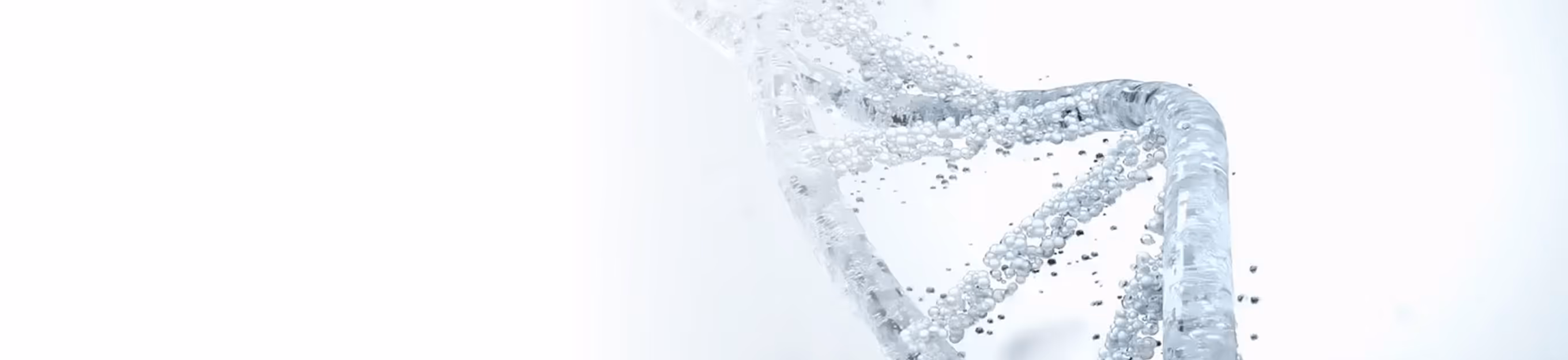 Transparent 3D DNA double helix model with bubbles inside on a white background.