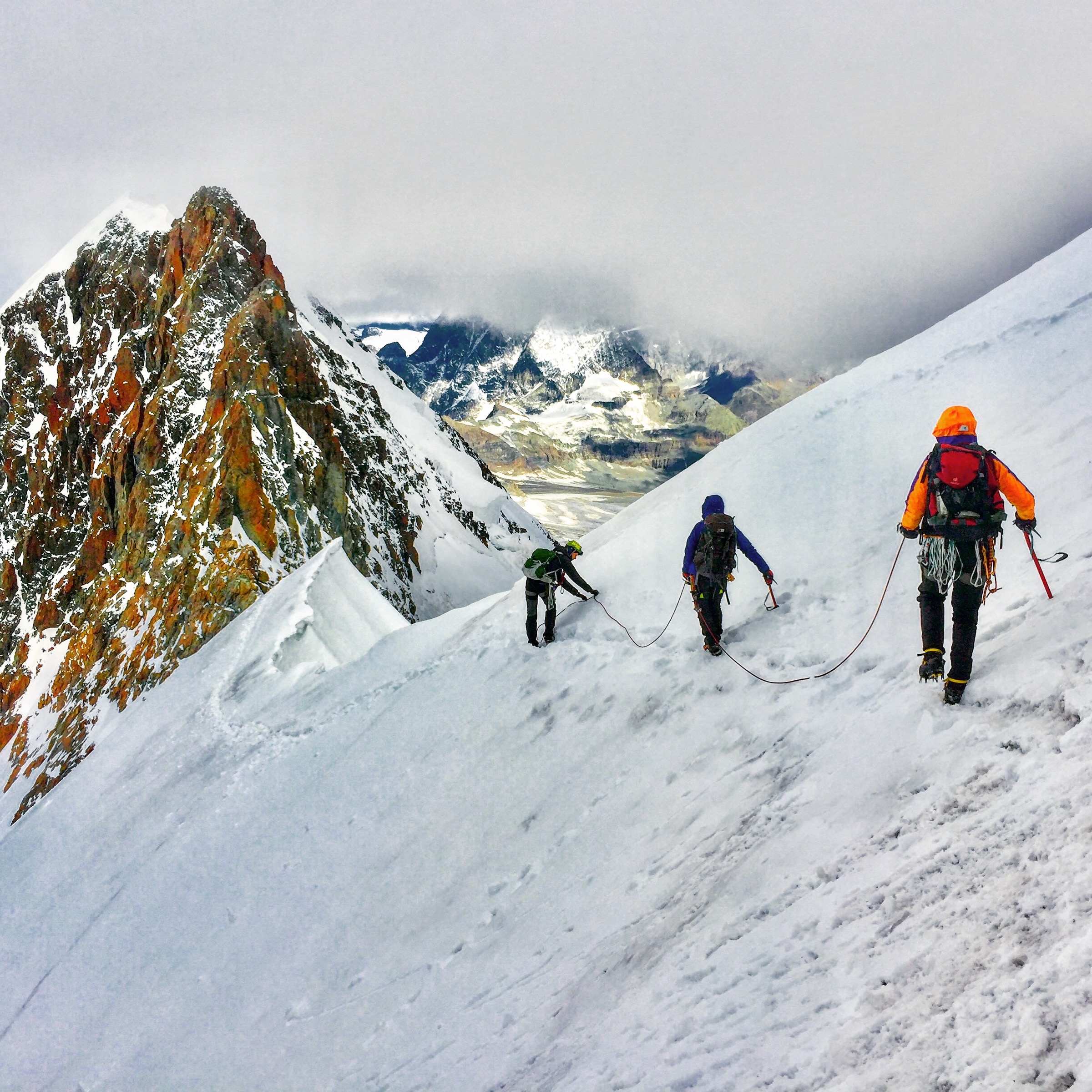 [background image] background image of office space with computers (for an erp company).