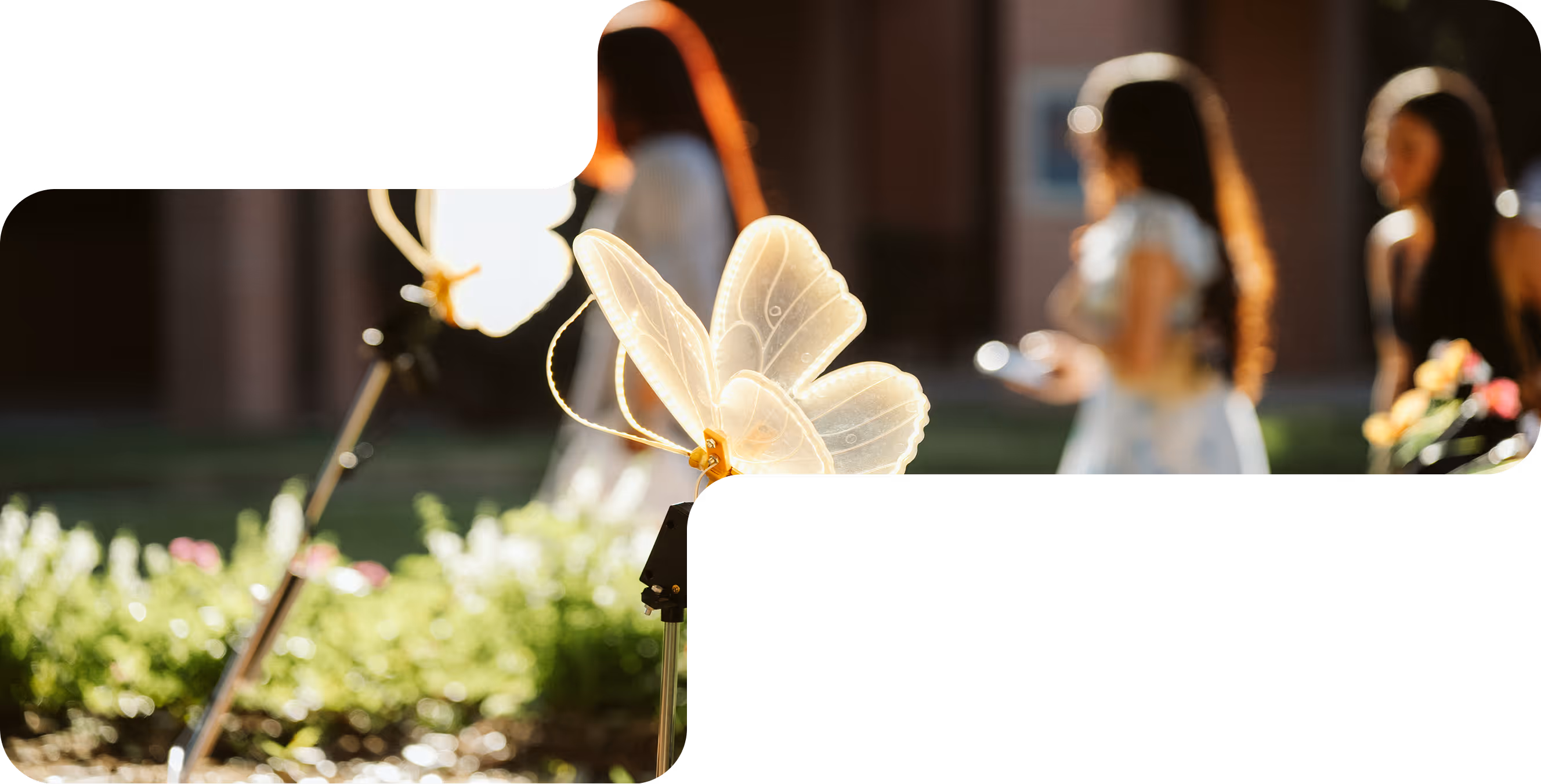 Glowing decorative butterfly lights on stakes with blurred people and flowers in the background.