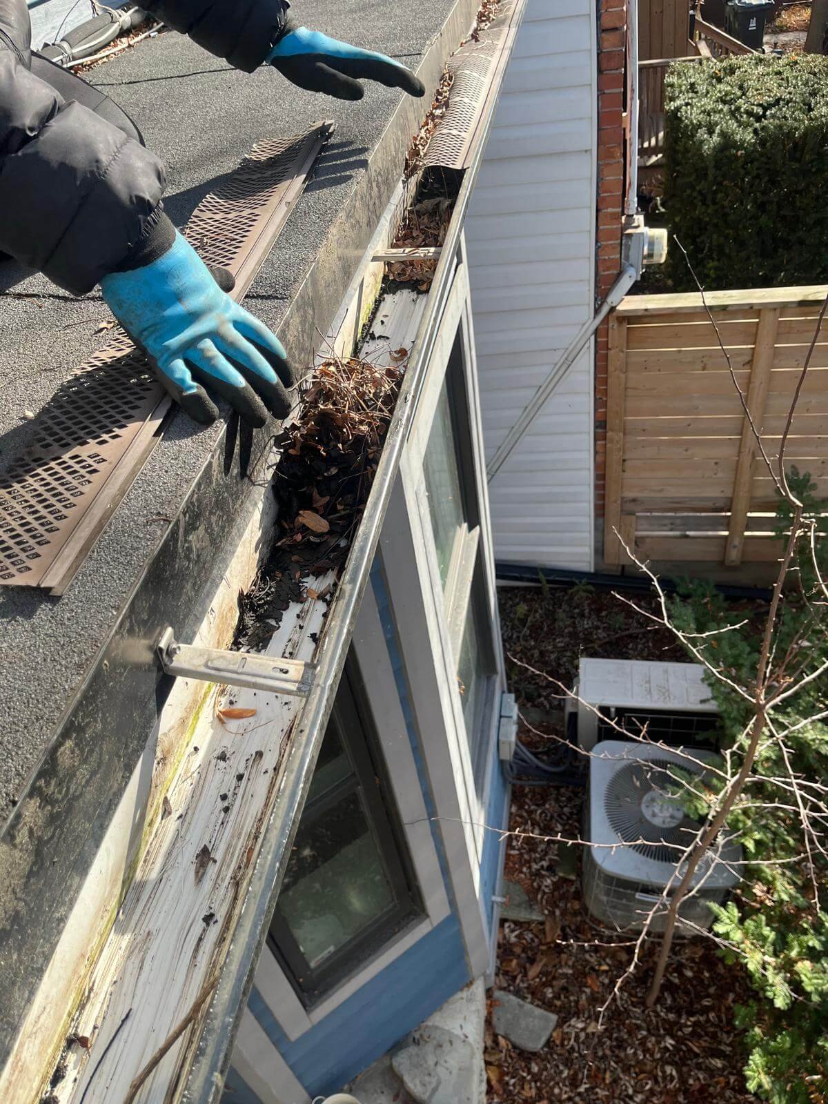 Person wearing blue gloves cleaning leaves and debris from a house roof gutter with gutter guards removed.
