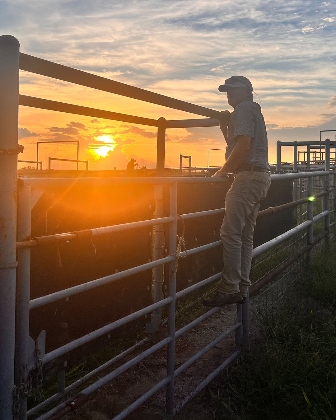 Ranch hand standing along the cattle pens at sunset at Timber Creek Ranch