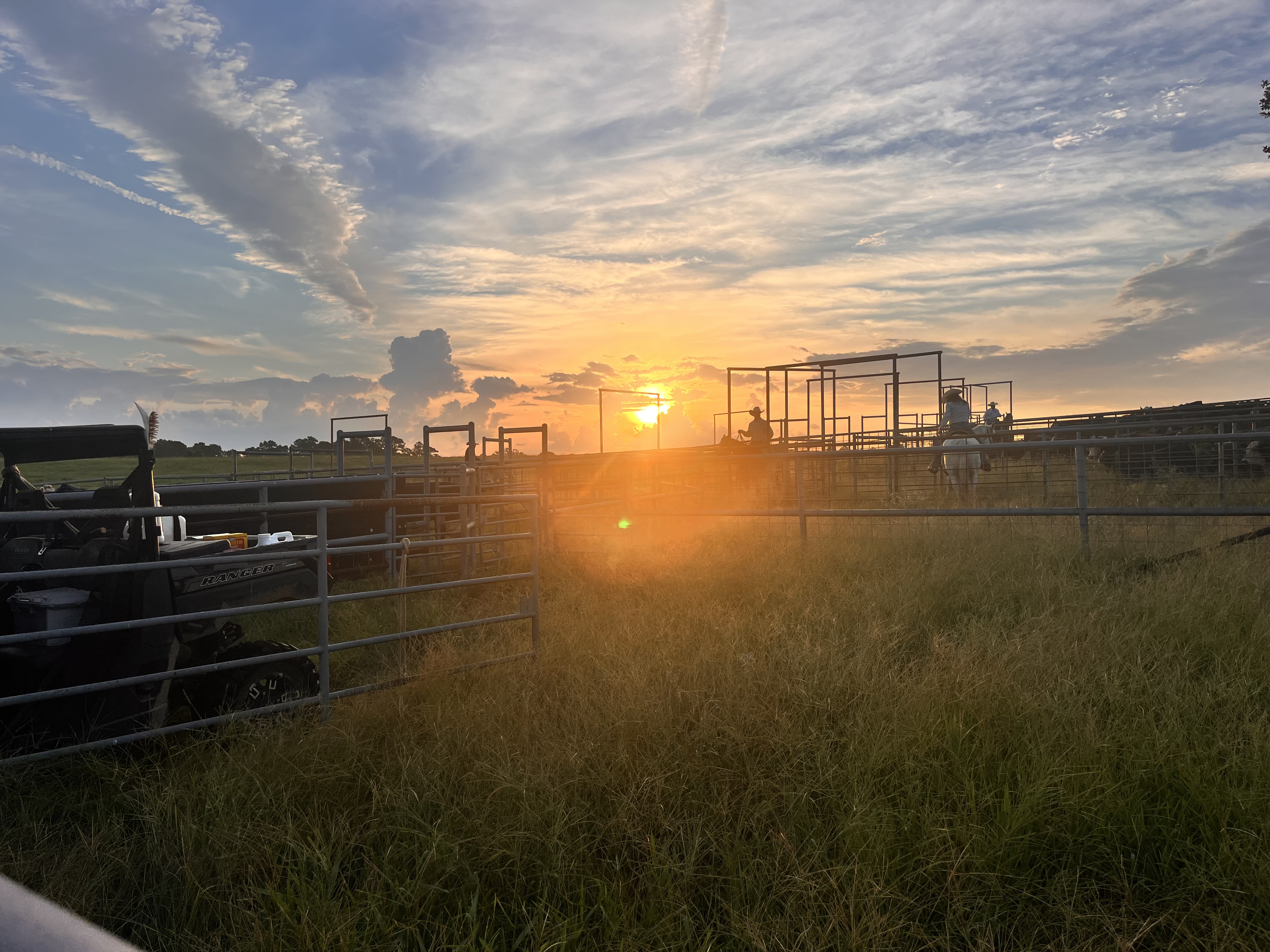 Sunset over the working pens at Timber Creek Ranch
