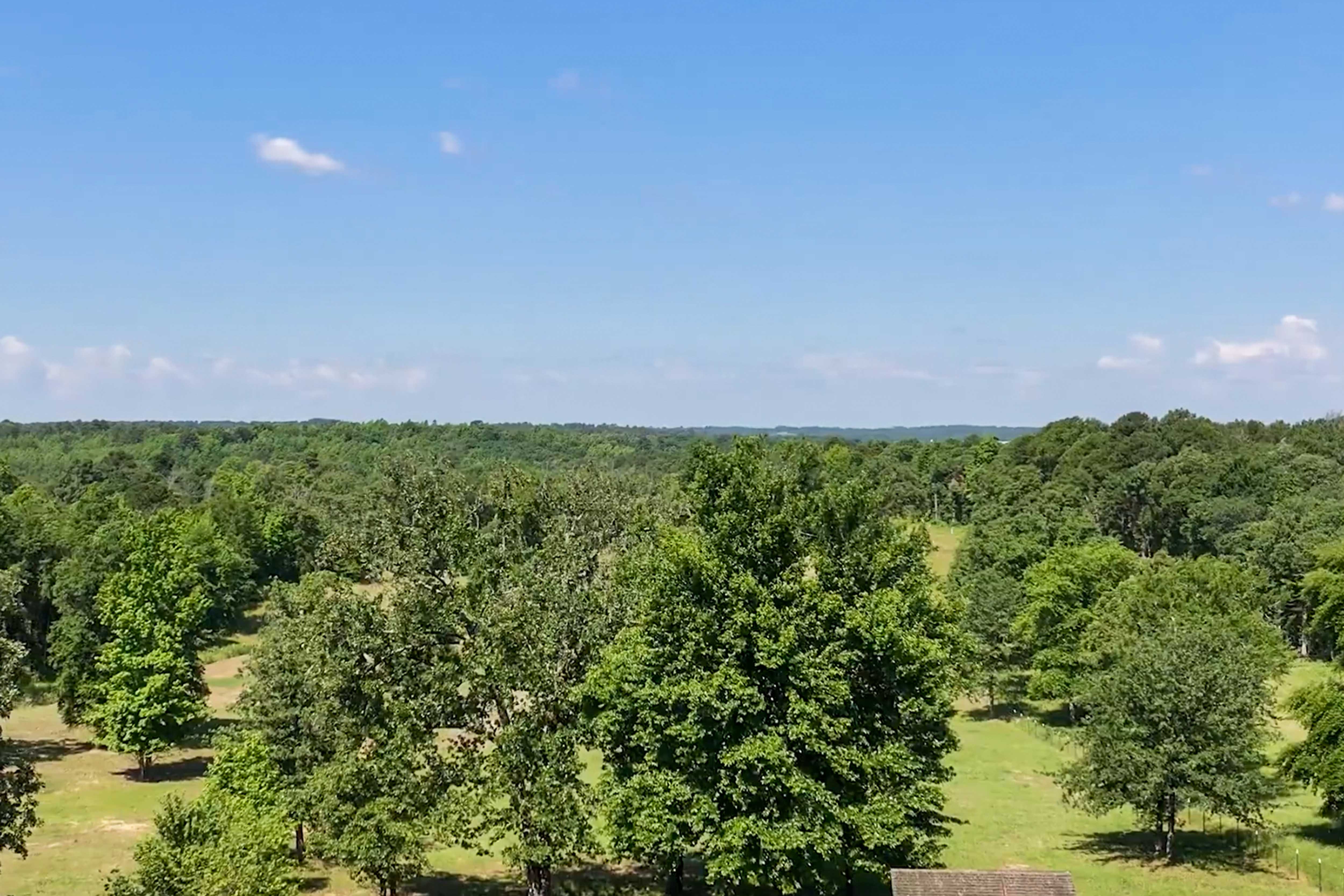 Wooded acreage and open lawns at Timber Creek Ranch