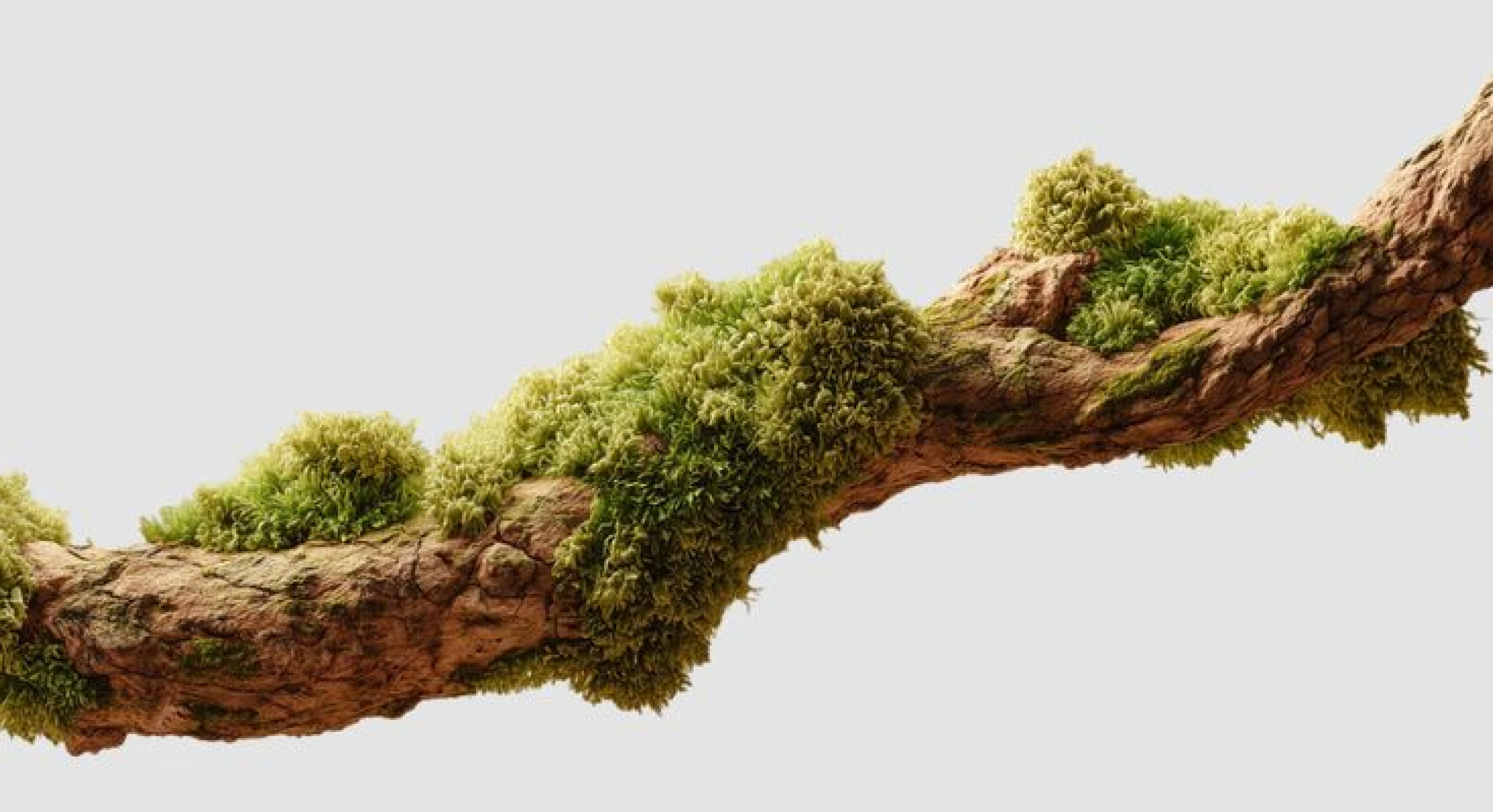 Project Banner Image