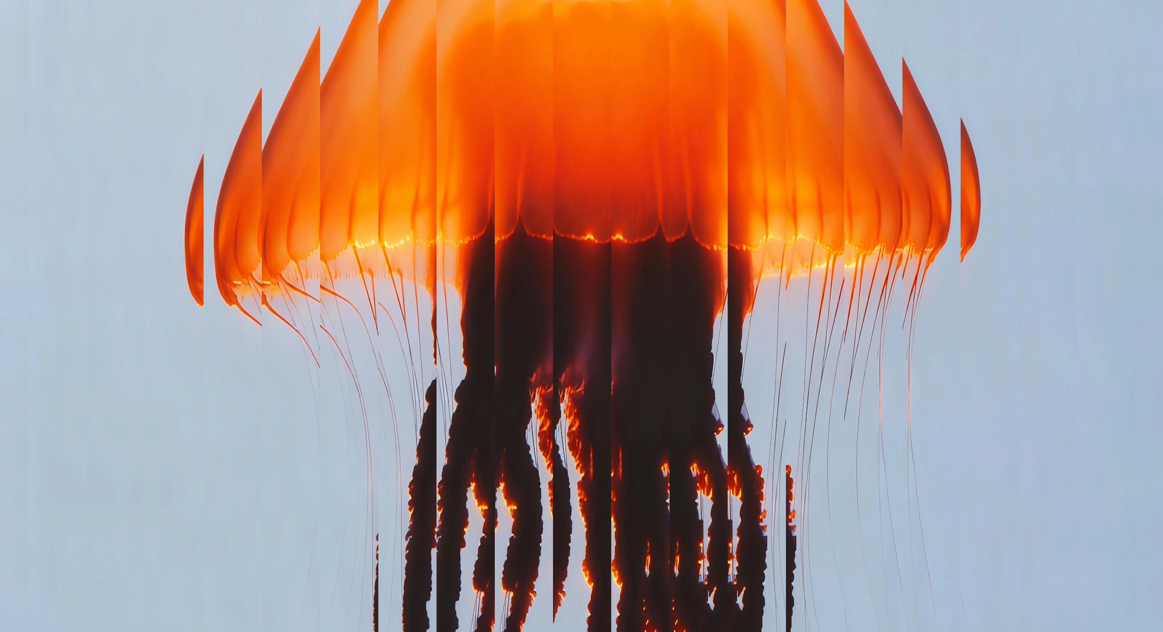 Project Banner Image