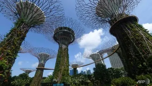Race for scarce talent in green finance looming in Singapore