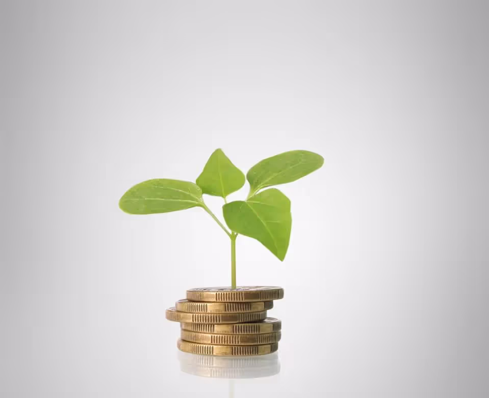Early withdrawals from retirement savings plans: What is the real opportunity cost