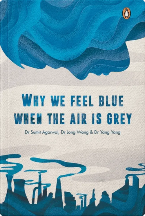 Why We Feel Blue When the Air is Grey