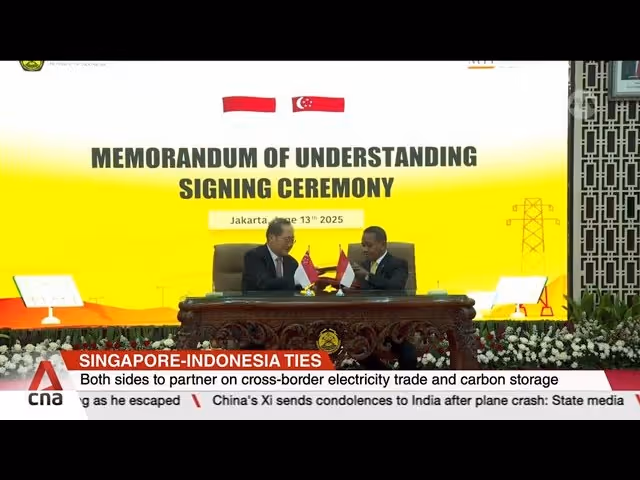 Singapore-Indonesia joint task force to study development of sustainable industrial zone