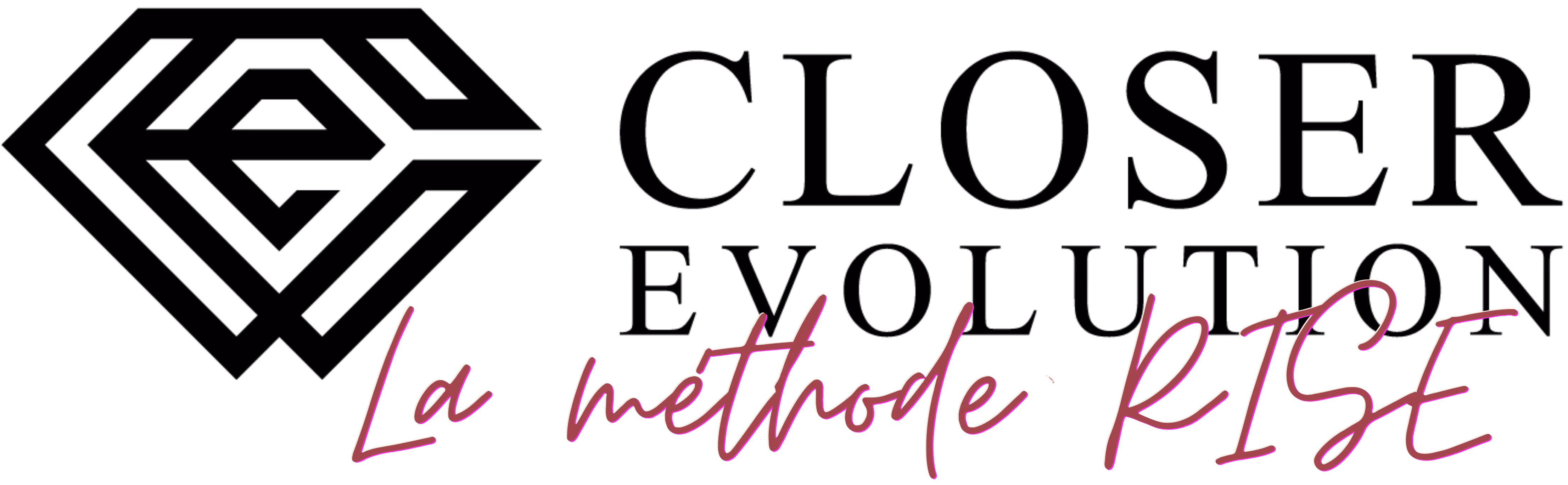 Logo featuring a circular icon with four segmented, colorful rays in yellow, purple, orange, and gray, with the text 'La méthode RISE' in elegant script to the right.