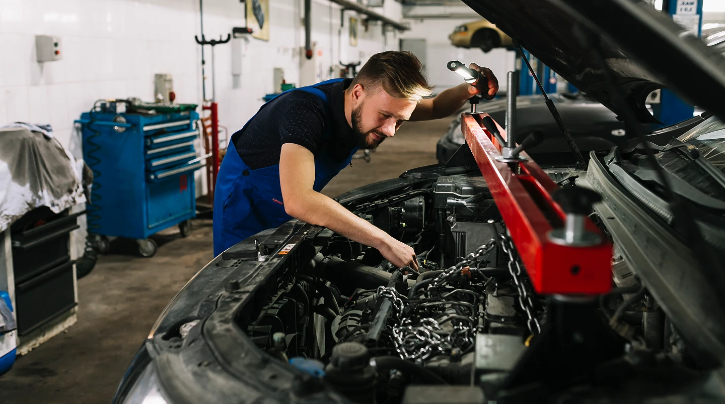 A person using a window cleaner to clean a large window, focused on removing dirt and streaks for a clear view.