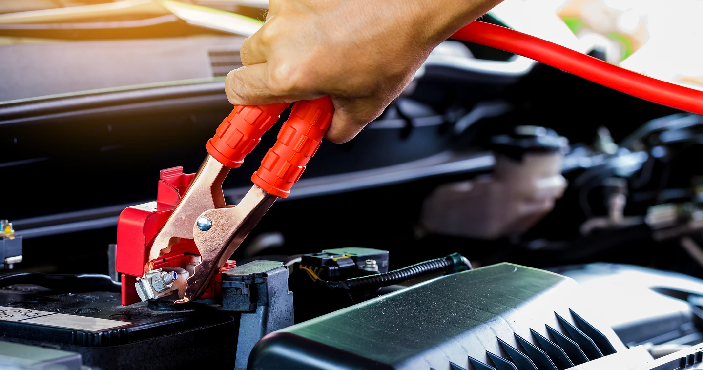 A person using a window cleaner to clean a large window, focused on removing dirt and streaks for a clear view.