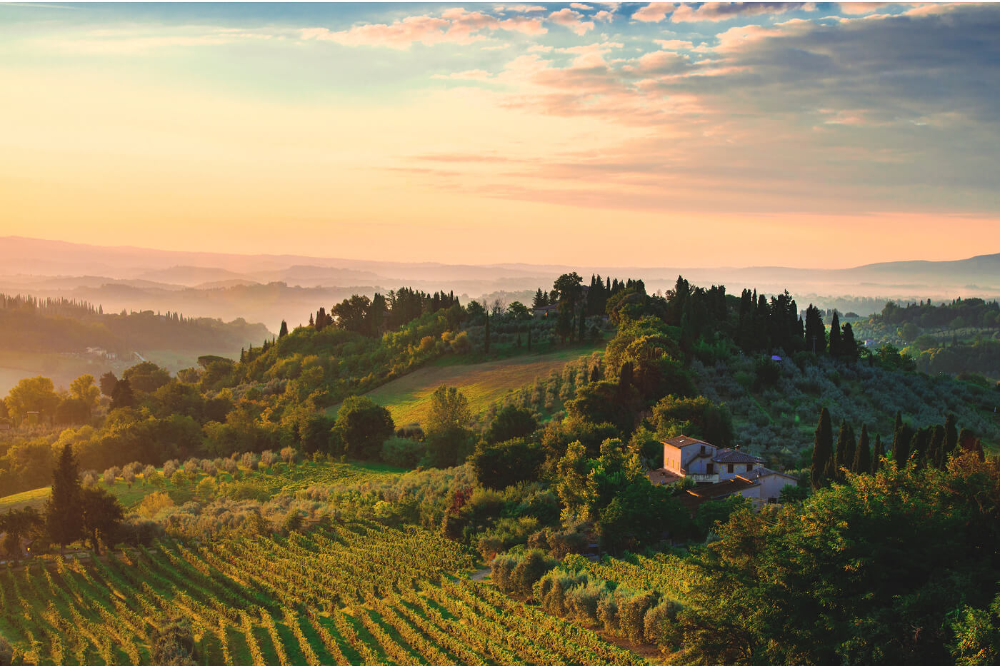 A Selected Global Clientele