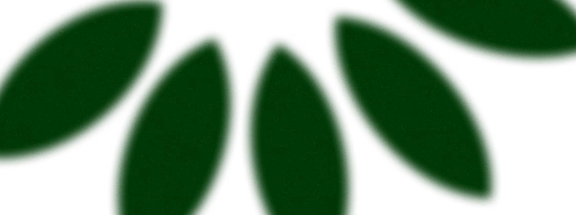 Groupe de grandes feuilles vertes stylisées sur fond noir en disposition circulaire.