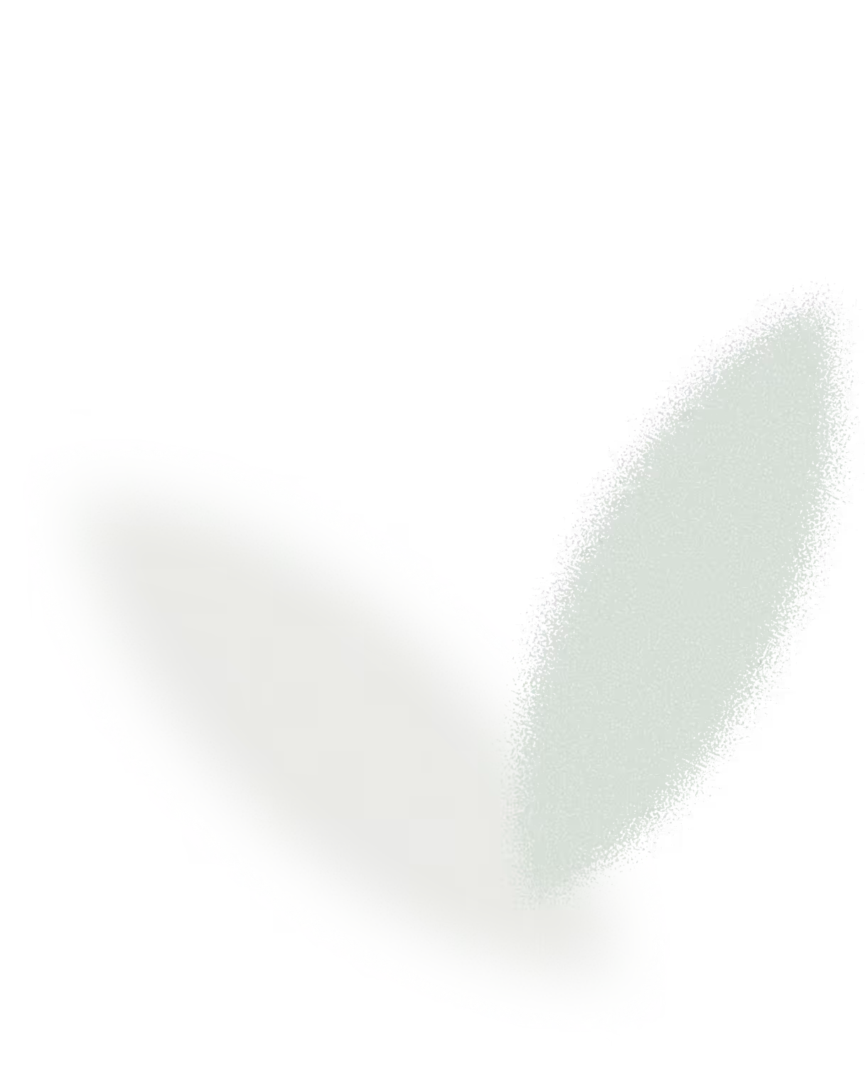 Deux feuilles abstraites blanches et vert pâle sur fond noir.