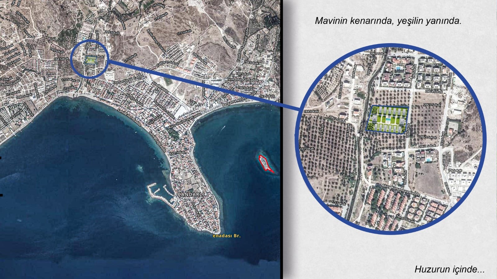 image of a busy downtown area for a mobility and transportation business [background image]