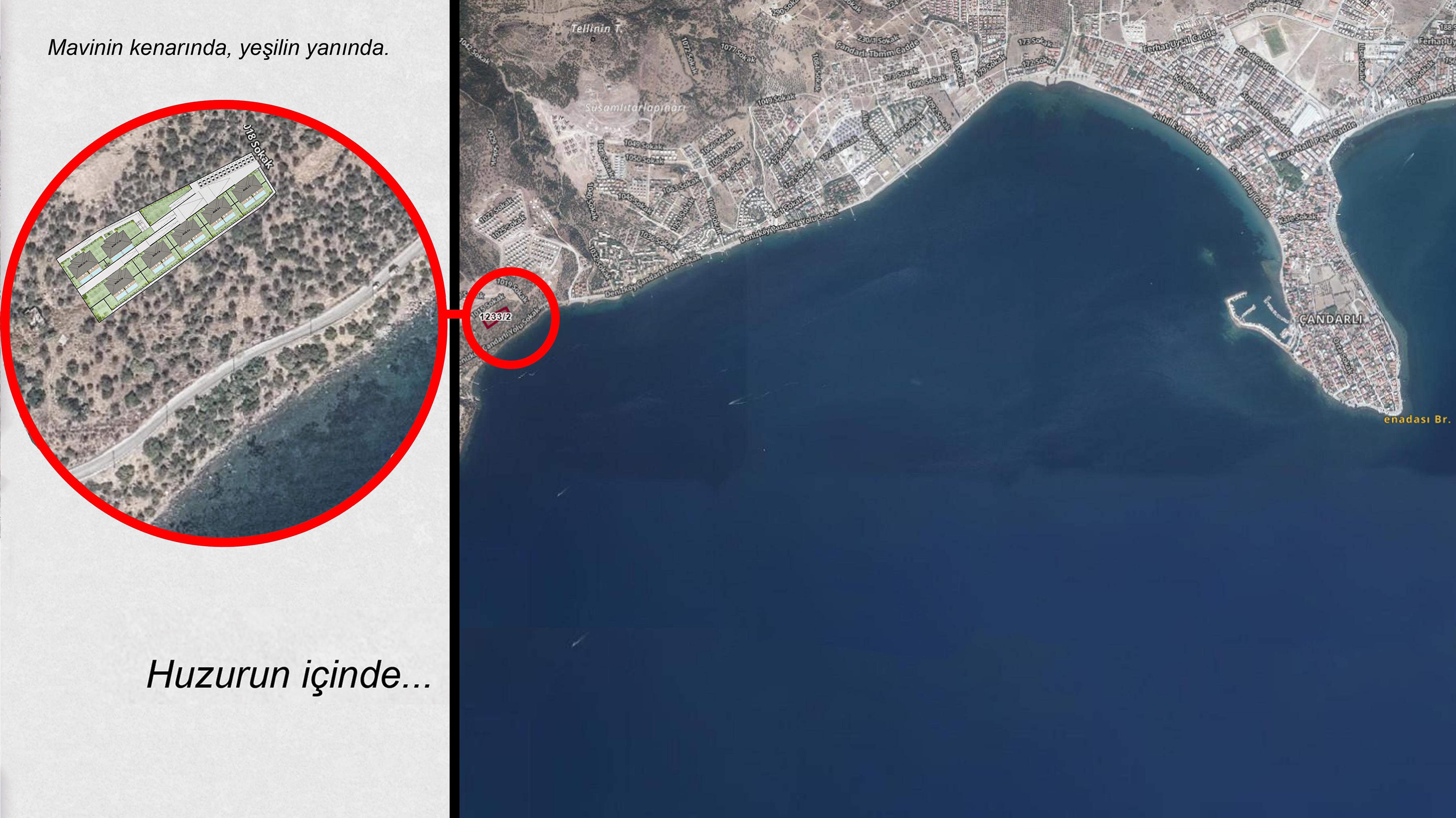 image of a busy downtown area for a mobility and transportation business [background image]