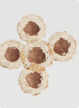 Stress & Sleep Management