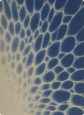 Hormone Optimization