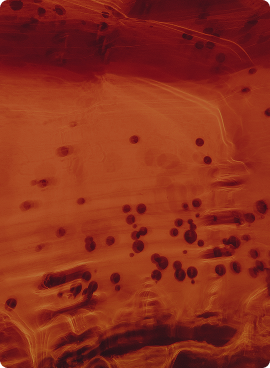 Movement & Fitness Prescription