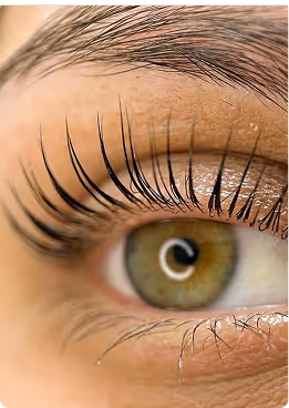 Eyelash Lamination