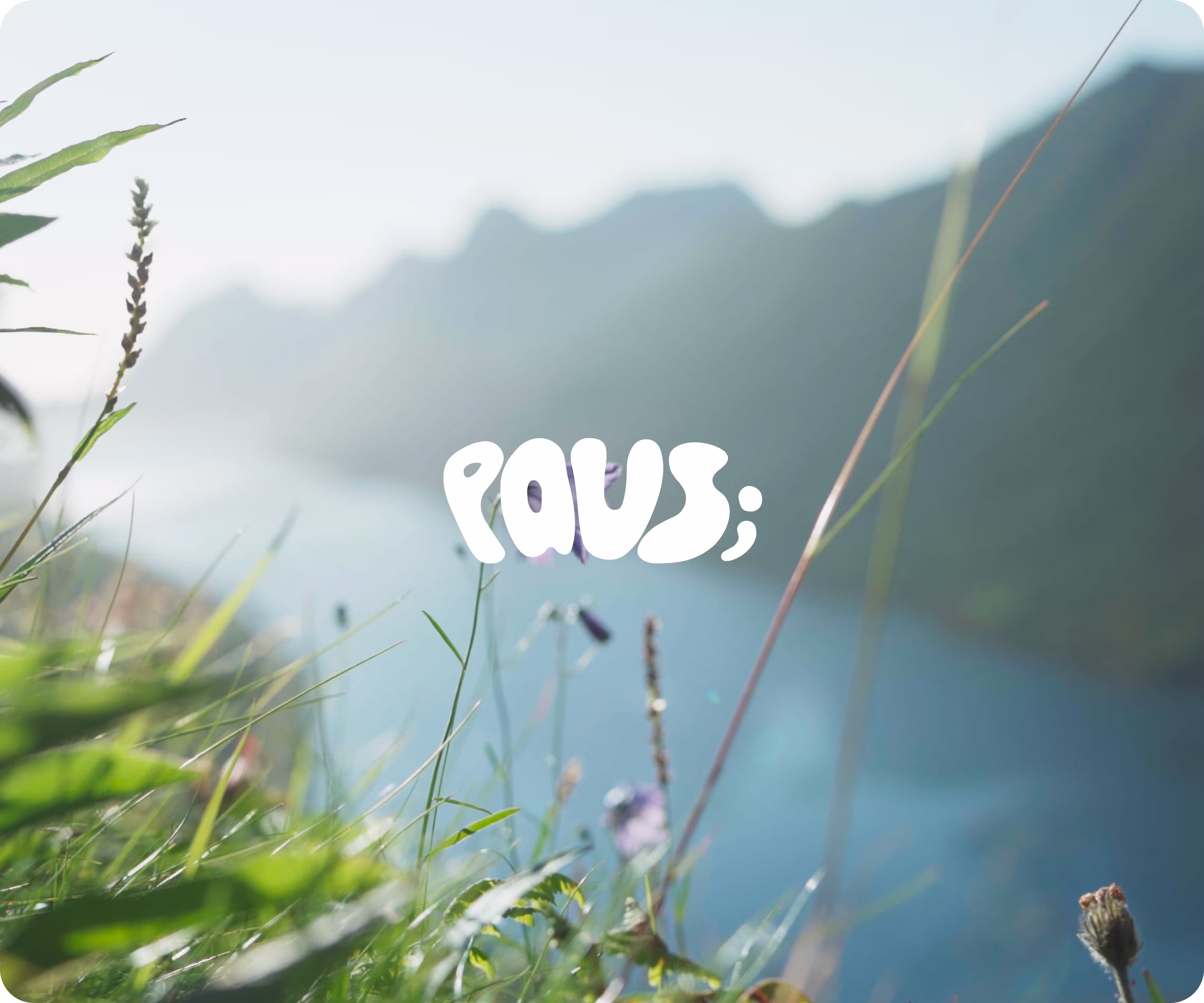 Paus - wellness platform
