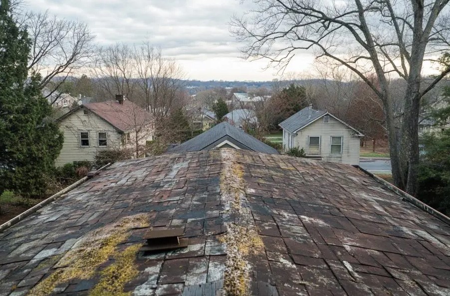 mold and moisture on a roof in Florida