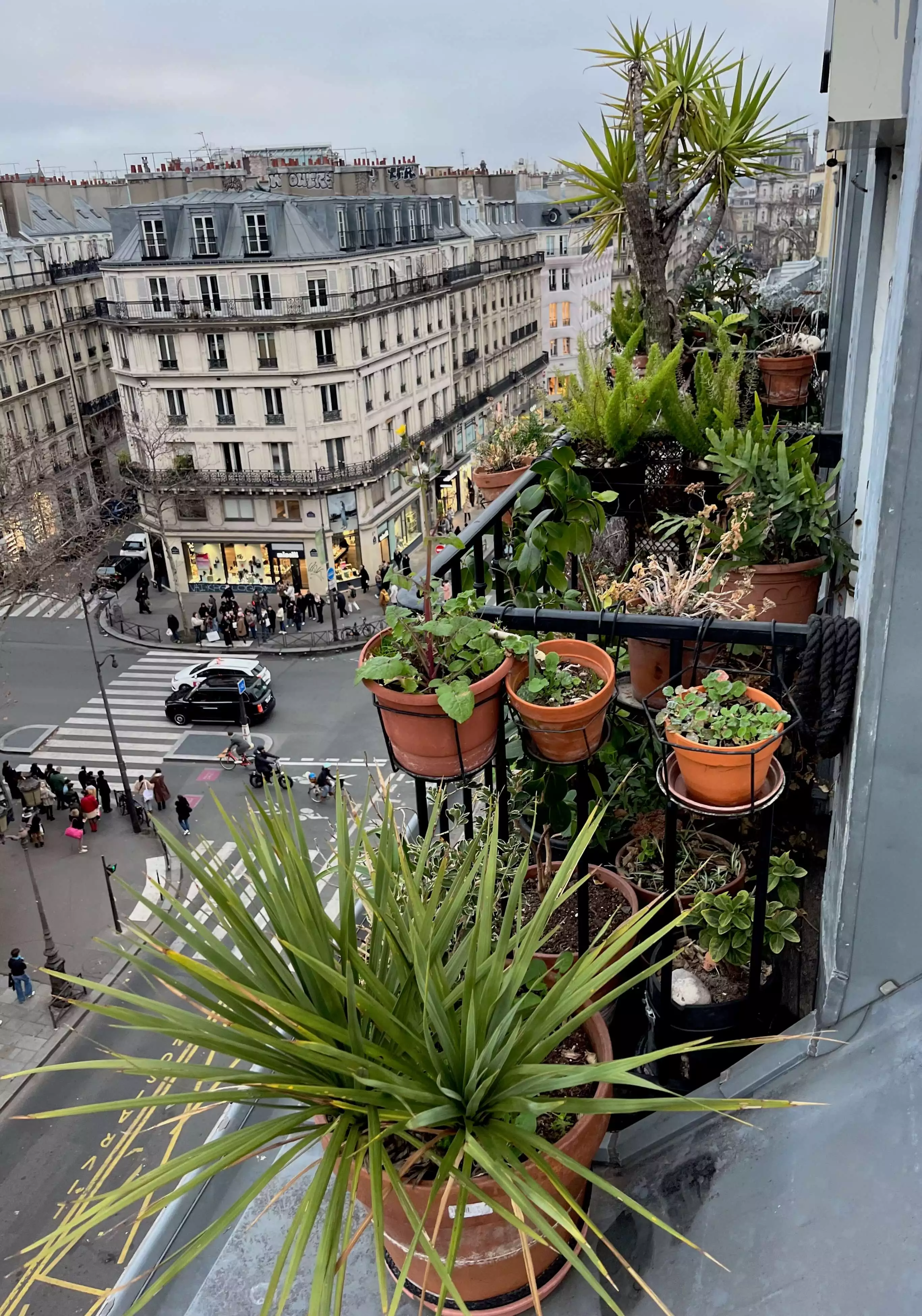 Ambiance du cabinet de psychologie de Charline Lameille, psychothérapeute à Paris centre près de Châtelet