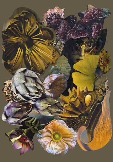 image of gallery interior