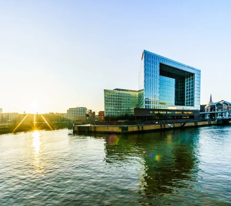 Luftaufnahme des Hamburger Rathaus und der Binnenalster mit Uferpromenade, Bäumen und Ausflugsbooten.