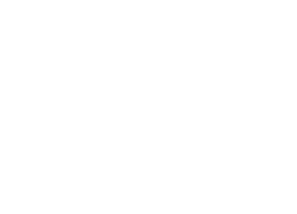 Placeholder: NanoMosaic logo