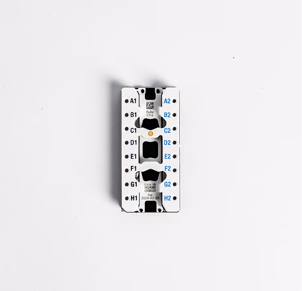 Top-down view of a white electronic chip module with labeled pins on left and right sides marked A1 to H1 on the left and A2 to H2 on the right, with two visible black connectors in the center and text identifying it as a Ruby Chip with chip ID and date 2024-02-19.