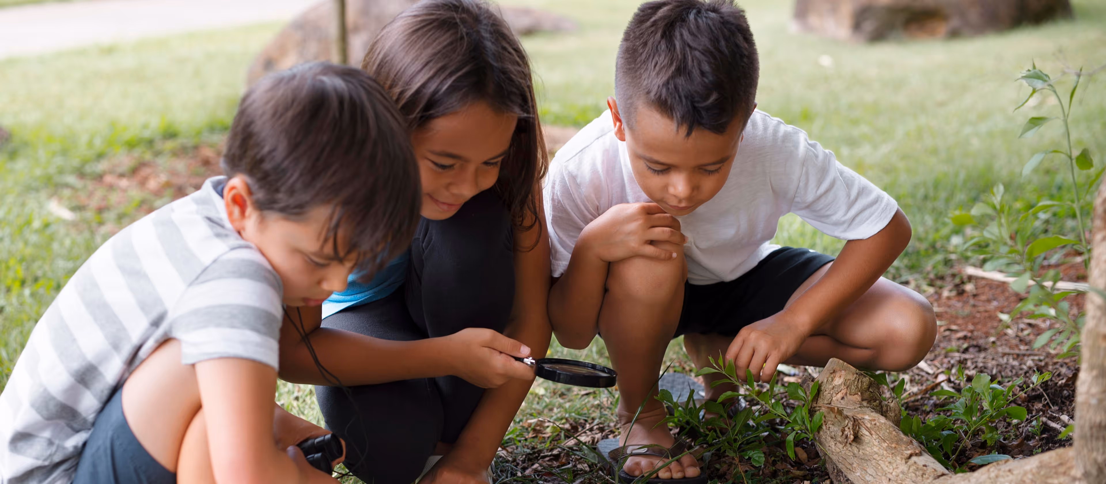 Understanding progress to strengthen outcomes
