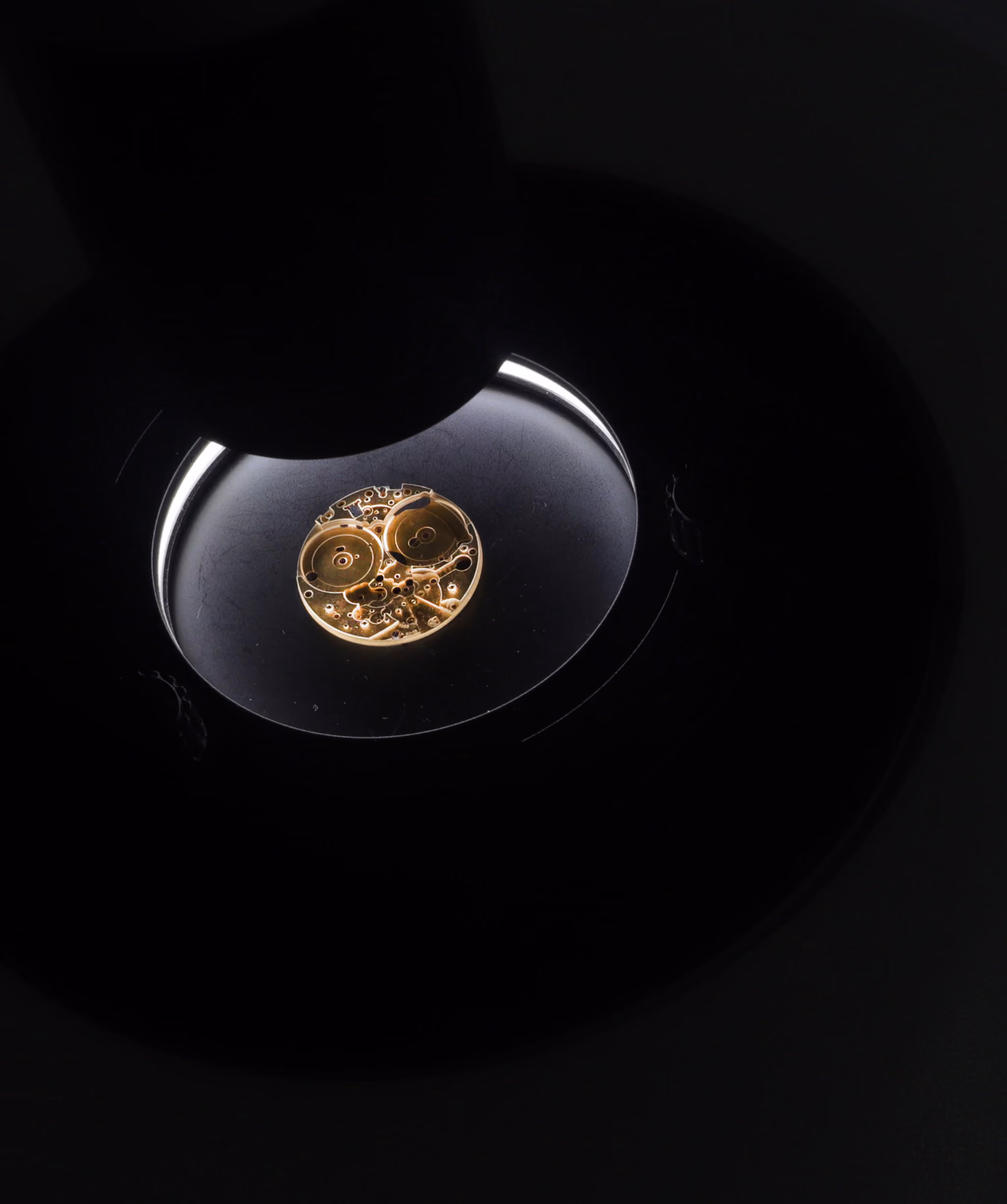 VisiDark - Darkfield Microscopy Inspection